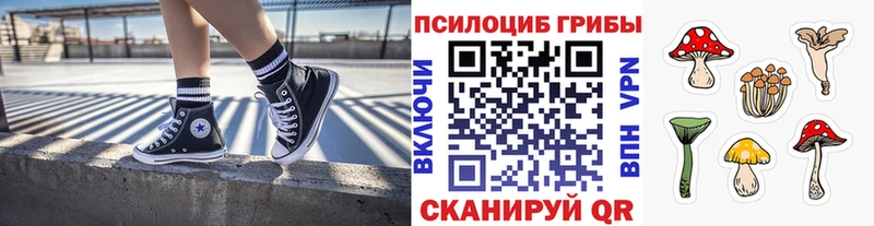 Псилоцибиновые грибы прущие грибы  Купить где  Мариинск 